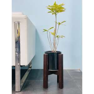 Pot de fleurs en céramique avec support en bois SPT6 pour plantes d'intérieur/extérieur et décoration - Product Image 1