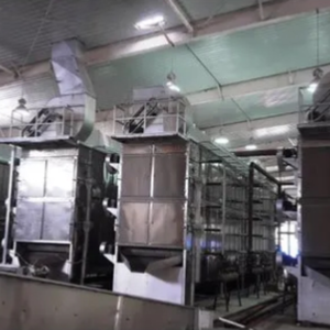 Séchoir industriel automatique à fruits et légumes en acier inoxydable, machine de séchage à air chaud haute capacité pour usine de transformation - Product Image 2
