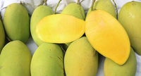 [Hot Sale 2025] Verse Mango Van Hoge Kwaliteit-Natuurlijk Zoet En Vers 100% Tropisch Fruit Uit Vietnam Voor Zomerfruit
