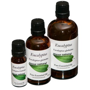 Aceite Esencial de Eucalipto Natural de Alta Calidad al por Mayor, Destilado al Vapor, Aceite de Masaje Aromático Premium, Aroma y Fragancia OEM/ODM - Product Image 3