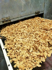 Roasted Coconut Crunchy Coconut Slices For Snack Topping And Confectionery Use Vietnam Manufacturer - Product Image 5