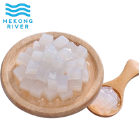 Gekubbelde kokosgelei Nata de Coco siroop fruitige smaak bulkverpakt frisdrank ingrediënt Mekong rivier Vietnam gratis sample