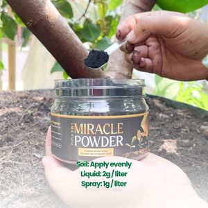 Poudre d'acide humique de haute qualité Infarm 300g Conditionneur de sol organique pour l'agriculture et le jardinage Soutien à la croissance des plantes - Product Image 5