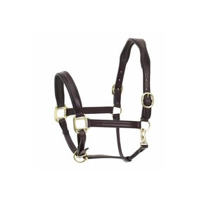 Collier de tête pour cheval en PP bicolore entièrement réglable, personnalisable (couleurs et logo), avec accessoires en laiton durables, toutes tailles - Product Image 4