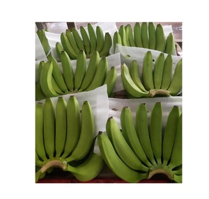 Calidad Premium Fresh Green Cavendish Bananas Calidad de exportación 4 5 6 manos en caja de cartón con logotipo personalizado Marca - Product Image 2