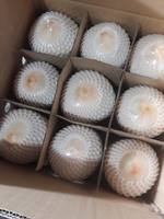 [Hoge Kwaliteit] Vers Kokosnoot Vers Fruit-Groothandel Vers Fruit Kokosnoten Water Uit Vietnam Voor Zomerdranken
