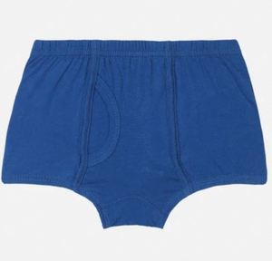 Premium Cotton Boys <b>Trunk</b> Underwear Soft Stretch Fit Kids Breathable <b>Boxer</b> <b>Trunks</b> Elastic Waist Comfort Wear - Product Image 1
