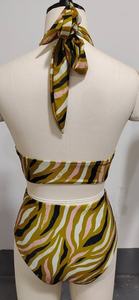 Unisex High Quality Customize Swimmer Bikini Set Bra and Underwear With Customize Logo Beach wear Bikini - Product Image 3