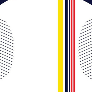 Camiseta de Cricket Personalizada con Logotipo para Hombre, Transpirable, de Alta Calidad, Opciones de Personalización, 100% Poliéster, Cuello en V - Product Image 3