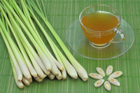 100% thé vert à la citronnelle pur et naturel séché et mélangé fourni en boîtes et en vrac d'Inde