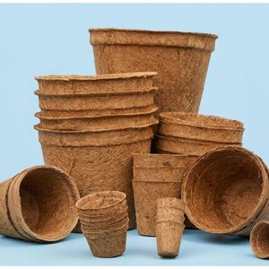 กระถางมะพร้าวยั่มนา (Coco Pots) กระถางปลูกต้นไม้ย่อยสลายได้ทางชีวภาพ ขนาด 2-6 นิ้ว อายุการเก็บรักษา 2 ปี สำหรับทำสวน - Product Image 6