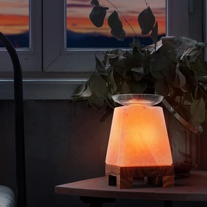 Lámpara de Sal Rosa del Himalaya Tallada a Mano, 100% Natural y Ecológica, con Base de Madera, Decoración para el Hogar con Feng Shui, Regalo - Product Image 6