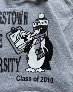 Sweat-shirt à capuche unisexe en molleton français Youngstown State University Class of 2010, gris, décontracté, en coton, avec poche avant - Product Image 3