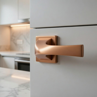 Ensemble de poignées de porte encastrées en laiton moderne de luxe |   Poignées de porte à levier pour appartement, finition antique noir graphite doré