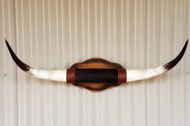 Corne de buffle naturelle décorative montée sur taureau Vaisselle pour la maison Corne de taureau montée Produit de vente à chaud pour la maison PAR HF CRAFTS - Product Image 5