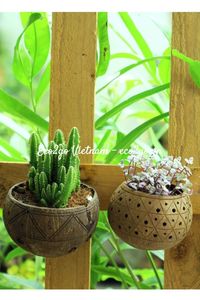 Pot de plante en coquille de noix de coco naturelle |   Jardinière artisanale écologique |   Décoration de jardin durable pour l'intérieur et l'extérieur |   Eco2go Vietnam - Product Image 2