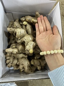Wholesale Premium <b>Fresh</b> <b>Ginger</b> From Vietnam Export Quality Best Price Supply - Product Image 6