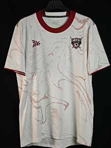 Maillot de football personnalisé OEM PUFFIN SPORTS, sublimation, pour homme, tissu mesh respirant, manches courtes, col rond, adulte, toutes saisons - Product Image 1