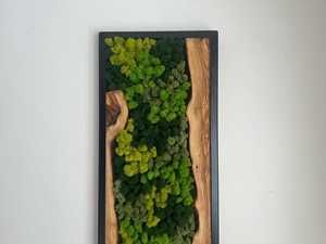 Mosaico de pared de madera Wildwood, arte de musgo Nature Nexus, decoración de pared de madera rústica con follaje, arte colgante con marco rectangular - Product Image 2