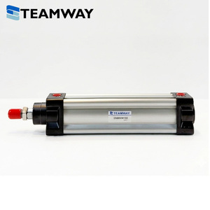 Cylindre pneumatique à double arbre TEAMWAY DND, alésage 32-100 mm, course 25-500 mm, alliage d'aluminium, remplace Airtac SI, série Festo DNC - Product Image 4