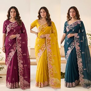 Sari de Seda Espacial Premium MB ETERNAL CLOTHING con Borde Bordado y Blusa, Traje Tradicional Indio para Bodas, Largo hasta el Suelo - Product Image 1