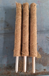 Postes de Fibra de Coco Extensibles y Apilables para Plantas de Interior, Soportes de Fibra de Coco para Plantas Trepadoras como el Árbol del Dinero - Product Image 4