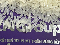 Arroz Jazmín Nang Hoa Premium, Arroz Blanco Aromático de Grano Largo de Vietnam, Textura Dura, Seco, Venta al por Mayor, Exportación, Empaque OEM