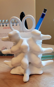 Portaplumas Único con Diseño de Hueso, Material Elegante y Natural de Barkah Star - Product Image 3