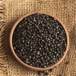 Lentilles noires Urad Dal, haricots noirs entiers, riches en protéines et en fibres, pour la cuisine quotidienne, Idli/Dosa & Vada, durée de conservation de 24 mois - Product Image 2
