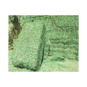 หญ้าอัลฟัลฟ่าคุณภาพพรีเมียม อาหารสัตว์แบบม้วน ขายส่งจำนวนมาก - Product Image 1