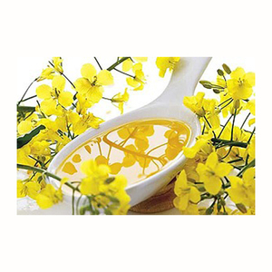 Aceite de colza certificado orgánico 100% puro refinado / Aceite de canola - Product Image 5
