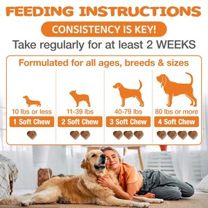 Friandises à Mâcher Tendres pour Chiens : Soulagement des Démangeaisons Allergiques, Soutien Immunitaire, Saveur Poulet, Champignons et Curcuma pour la Santé de la Peau et du Pelage – Toutes Races, Tous Âges - Product Image 3
