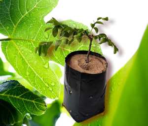 Black <b>Plastic</b> Grow Bags Breathable Flower <b>Pots</b> for Garden <b>Planting</b> - Product Image 3