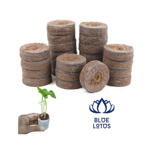 Granulés de coco de haute qualité, fibres propres, pour semis et mélanges de potting, avec absorption d'eau et stockage peu encombrant - Product Image 1