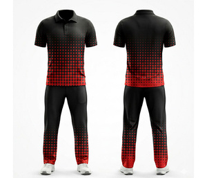 Professional Team <b>Cricket</b> Uniform Supplier Sublimation Printed | Men Women Youth <b>Cricket</b> Wears Polo Shirt and Trouser Full Team - Product Image 3