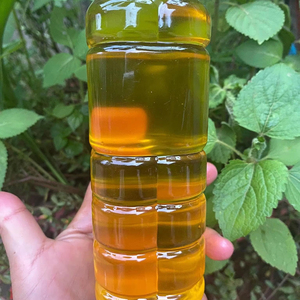 Aceite de Sacha Inchi Orgánico Puro en Venta, Fabricante de Aceite para Masajes Corporales, Cuidado del Cabello y Aceite de Grado Cosmético - Product Image 1