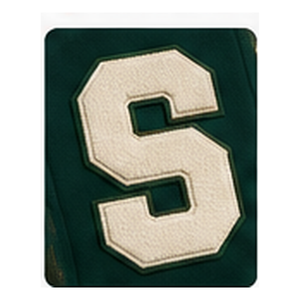 Blouson universitaire personnalisé en laine 100% vert forêt, brodé, motif montagne, style baseball, chenille - Product Image 5