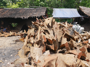 Charbon de bois de qualité supérieure, bois de fer indonésien, charbon de bois en morceaux, utilisation industrielle, valeur calorifique élevée - Product Image 4