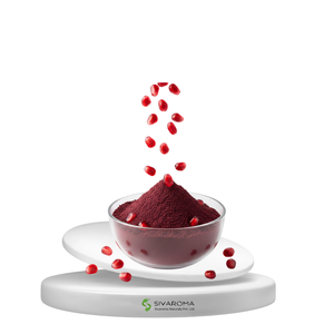 Poudre d'extrait de grenade de haute qualité pour les fabricants de boissons, de soins de la peau et de formules à base de plantes, export en vrac mondial - Product Image 1