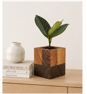 Jardinière cubique en bois de manguier, artisanale, moderne et luxueuse, écologique, bicolore, géométrique, pour bureau, personnalisable, vente en gros - Product Image 3