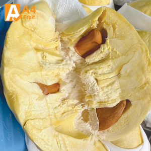 Durian Monthong Tailandés Fresco Premium, 100% Puro, Dulzura Natural Cremosa, 500g, 14 Días de Vida Útil, Almacenamiento Refrigerado, Listo para Enviar - Product Image 2