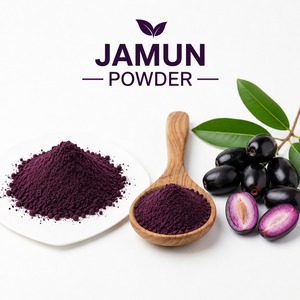 Compre Ahora Polvo de Jamun Natural para Alimentos, Bebidas y Aplicaciones Nutricionales al Precio Más Bajo - Product Image 2