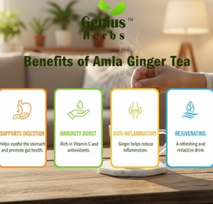 Té de amla y jengibre: combina amla rica en antioxidantes con jengibre cálido para crear una infusión herbaria que apoya la inmunidad. - Product Image 4