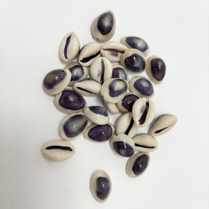Conchas de Cauri Naturales Talladas con un Tono Púrpura, Material Orgánico Ecológico, Suministros de Arte, Joyería, Manualidades, Accesorios de Moda - Product Image 1