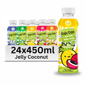 Bebida de jugo de gelatina de coco de 450ml con Nata De Coco OEM/ODM - Product Image 1