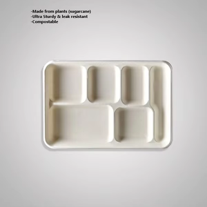 Plateau de table jetable 100 % biodégradable en bagasse de canne à sucre, compostable, avec accessoires, ensemble de restauration écologique - Product Image 6