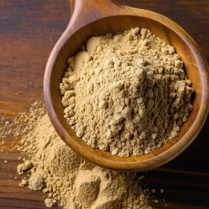 WARRLY Polvo de Extracto de Semilla de Amla Herbal Premium, Grosella Indígena Natural, 99% Extraído con Solvente, Grado Alimenticio, a Granel, OEM, Botella, Tambor - Product Image 1