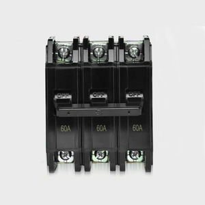 Interruptor de Circuito en Miniatura Eléctrico Shihlin BP-1P 20A - Product Image 1