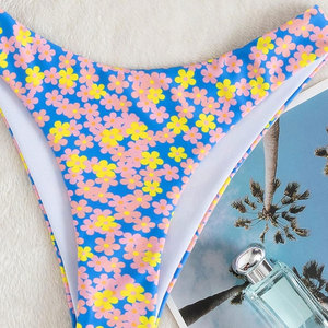 Conjunto de Bikini de Dos Piezas con Estampado de Leopardo para Mujer, Sexy y Personalizado, con Características Antibacterianas y Ecológicas, Logotipo Frontal - Product Image 4