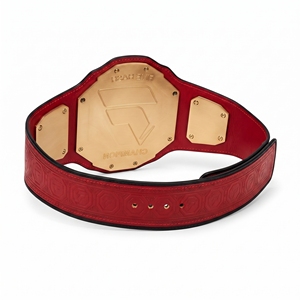 Cinturón de Trofeo de Lucha Libre, Construcción de Placa Metálica Duradera, Diseño Premium para Premios, Cinturón de Campeonato de Boxeo y Artes Marciales de Alta Calidad - Product Image 4